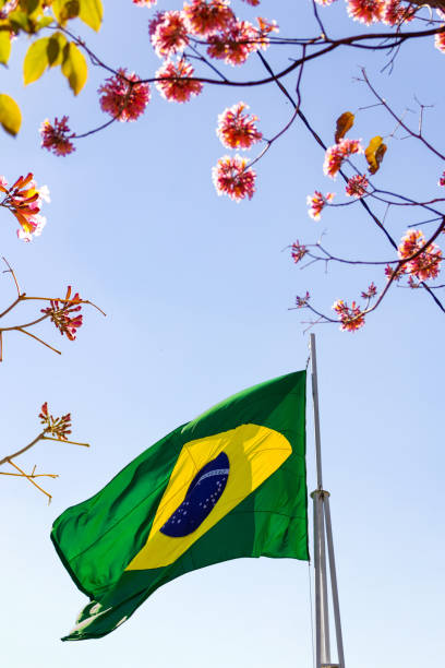 istock Brazilian flag fluttering in the wind. 1329047975