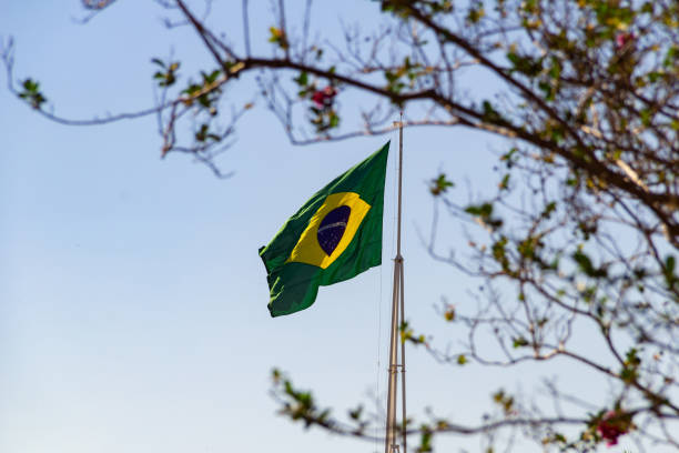 istock Brazilian flag fluttering in the wind. 1329047976