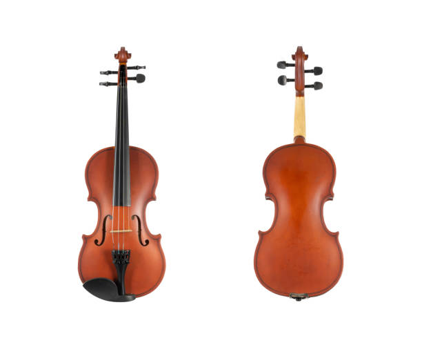 istock brown wooden violin isolated on white background 1329049333