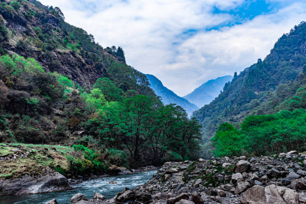 istock mountain valley with flowing river at forest at day from flat angle 1329049633