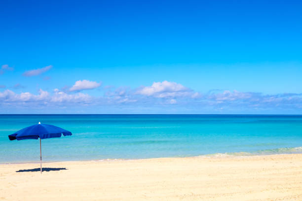 istock Blue beach umbrella parasol on the tropical beach. Vacation background. 1329051109