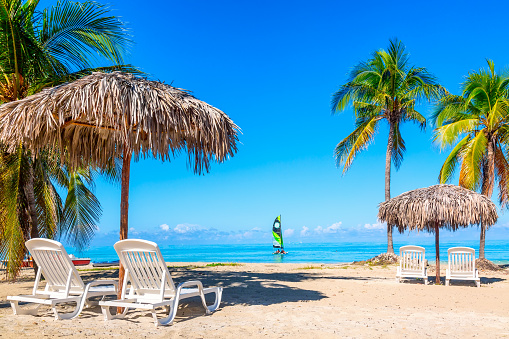 Tumbonas bajo sombrillas de paja en la playa de arena con palmeras cerca del océano con velero. Antecedentes vacacionales. Idílico paisaje de playa. Varadero, Cuba photo