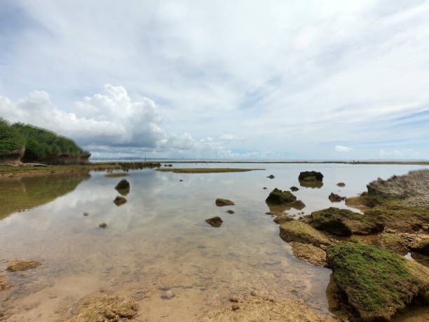 istock The view of Toguchi beach in Okinawa 1329051421