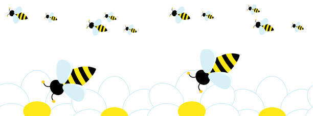 Many cute bees they fly to collect pollen from the flower. Many cute bees they fly to collect pollen from the flower. Vector Seamless pattern in white. Abstract cartoon bee and chamomile. hornet swarm stock illustrations