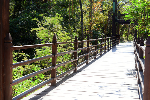 PIRENÓPOLIS, BRAZIL - JULY 16, 2021: SUSPENDED BRIDGE