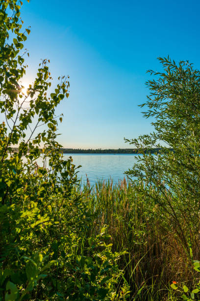 istock Beautiful summer sunset at a lake 1329054141