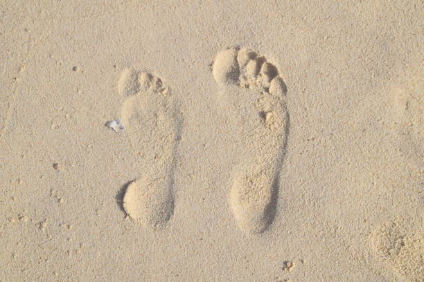 istock Couple's footprint on the sand of a beach 1329056037