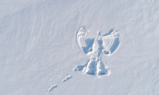 Snow angel's print on a snowcovered area