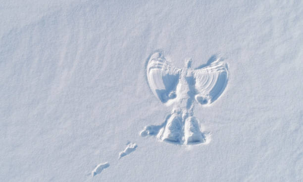 Snow angel's print on a snowcovered area. Aerial foto. Snow angel's print on a snowcovered area snow angels stock pictures, royalty-free photos & images