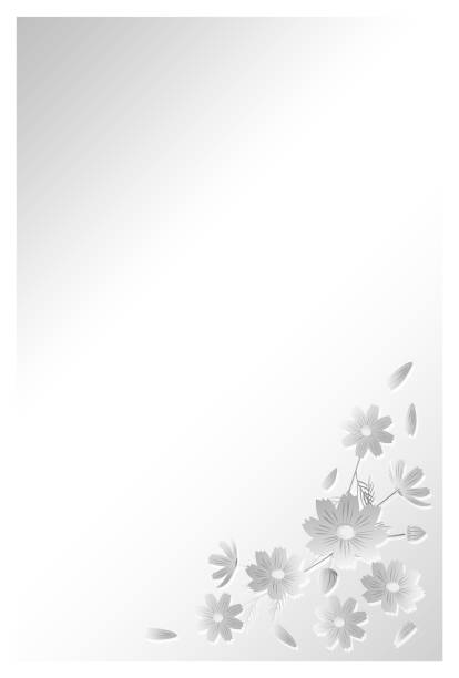 istock Postcard in mourning. Illustration of cosmos flowers. 1329060705