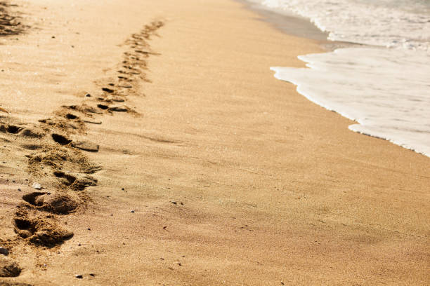 istock Wave of the sea on the sand beach 1329063004