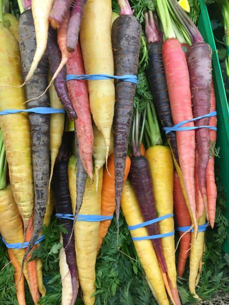 Bunches of rainbow carrots stock photo