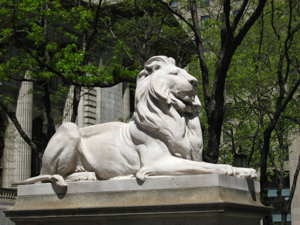 ニューヨーク公共図書館前のライオン彫刻 - new york public library ストックフォトと画像
