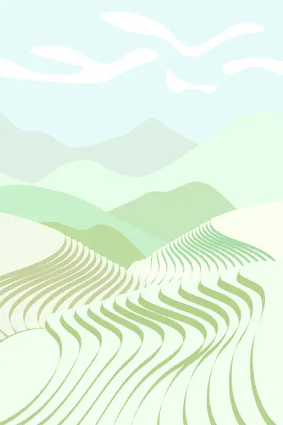 Vector illustration of Rice field poster. Chinese agricultural terraces in mountains landscape. Foggy rural farmland scenery with green paddy. Terraced farmer cultivation plantation. Asian agriculture vector background