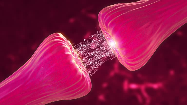 4,841 Synapse Videos Stock Videos and Royalty-Free Footage - iStock 4,841 Synapse Videos Stock Videos and Royalty-Free Footage - iStock