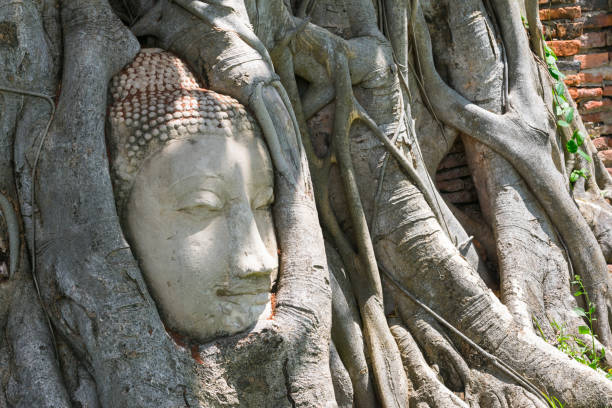 istock Head of buddha image in tree roots at wat mahathat temple, Thailand. 1329067914