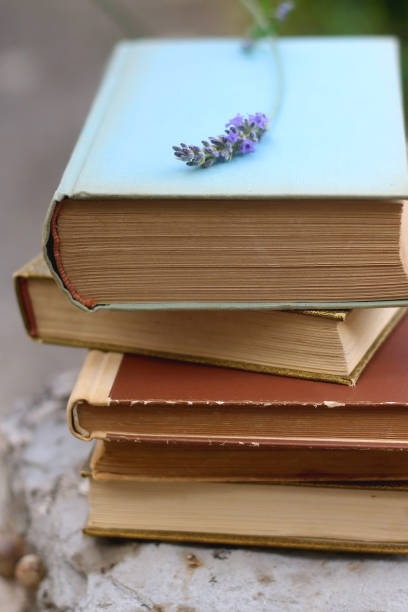 istock Vintage Books and Lavender Flower 1329069671
