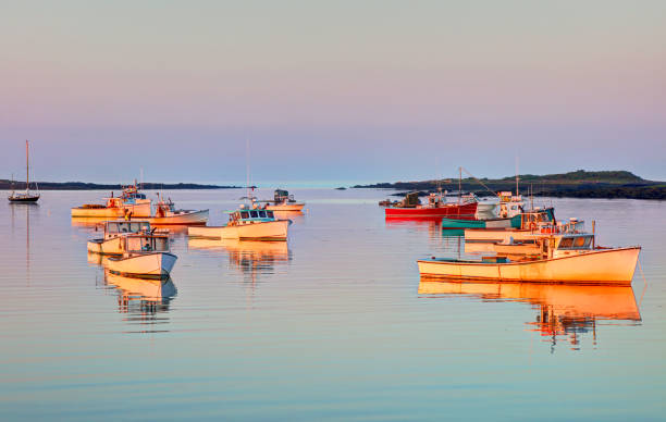 istock Cape Porpoise, Maine 1329069789
