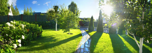 istock Winding path in summer garden in sunlight. 1329070697