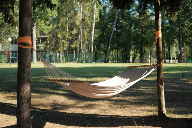 istock Hammock hanging between the trees in beautiful forest at summer sunny day. 1329071772