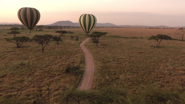 DRONE: Two hot air balloons fly over a dirt road crossing the Serengeti park.