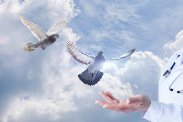 istock Concepts of hope and miracle in medicine. 1329078500