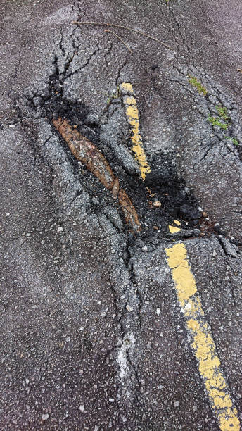 istock Crack on the road because of the root 1329080177