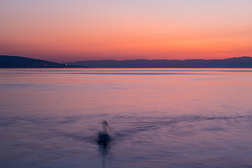 Lovely sunset over Lake Geneva with a swan in motion blur