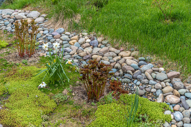 istock Fragment of green grass 1329082333