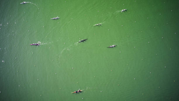 aerial view of boat teams sculling across the water - rowboat sport rowing team sports race imagens e fotografias de stock