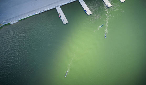istock Rowing athletes moving out of dock 1329094149