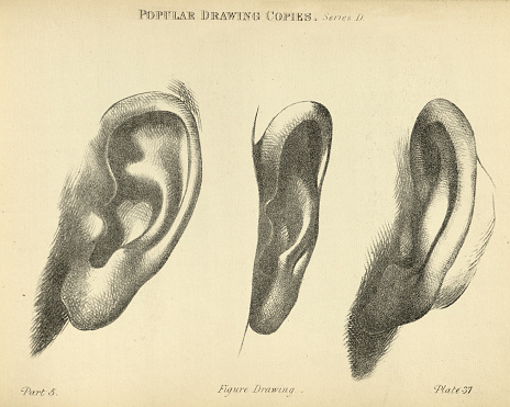 Vintage illustration of Sketching ear, Victorian popular figure drawing copies 19th Century