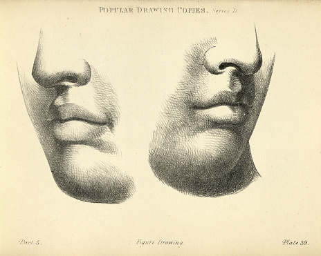 Vintage illustration of Sketching face, nose, mouth, chin, Victorian popular figure drawing copies 19th Century