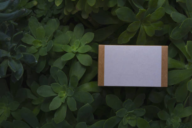 istock Mockup cardboard box with white label and natural background with copy space 1329096194