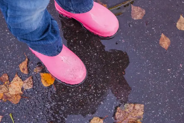 Legs of child in rainboots standing in puddle