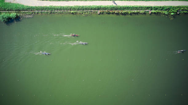 aerial view of boat teams sculling across the water - rowboat sport rowing team sports race imagens e fotografias de stock