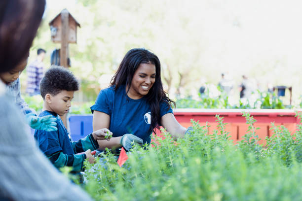 istock Diverse group enjoys working in community garden 1329101846