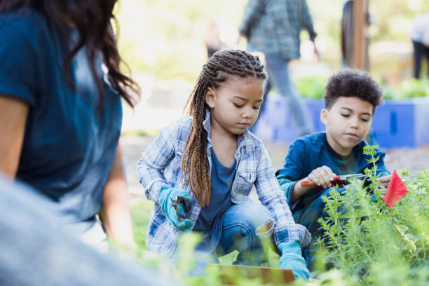 istock School children work in garden on field trip 1329101856