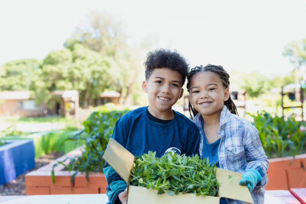 istock Boy and girl on field trip display harvest 1329101859