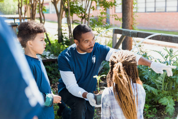 istock Garden volunteer holds seedling and points to greenhouse 1329101885