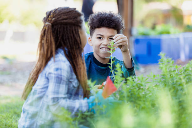 istock Young boy harvests herbs in community garden 1329101953