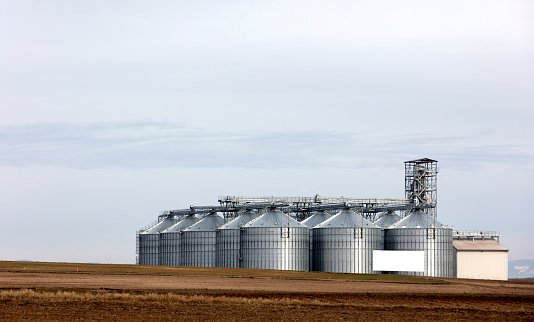 Farm for pig breeding is equipped with a hopper for feeding