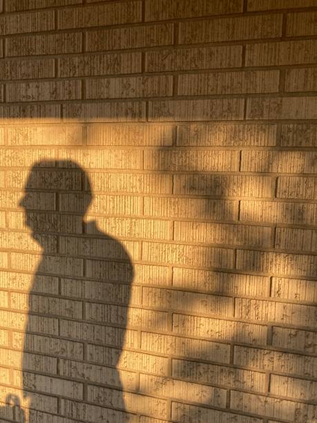 istock Shadow of man on brick wall 1329108898