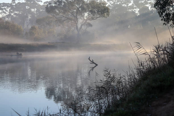 istock misty morning over river with birds 1329109990