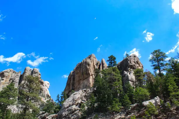 Photo of Side view of Mount Rushmore Washington’s face