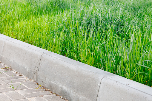 Green grass and gray curbstone. Improvement of the city. Selective focus