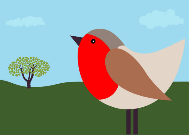 Red Breasted Robin Bird with Tree in Background vector art illustration