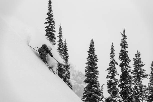 la esquiadora de fondo femenina desciende a través de un bosque nevado - determination telemark skiing exploration winter fotografías e imágenes de stock
