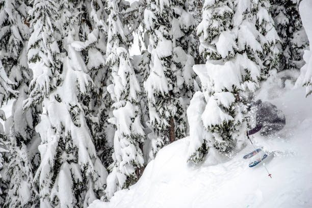 istock Backcountry skier descends through snowy forest 1329123582