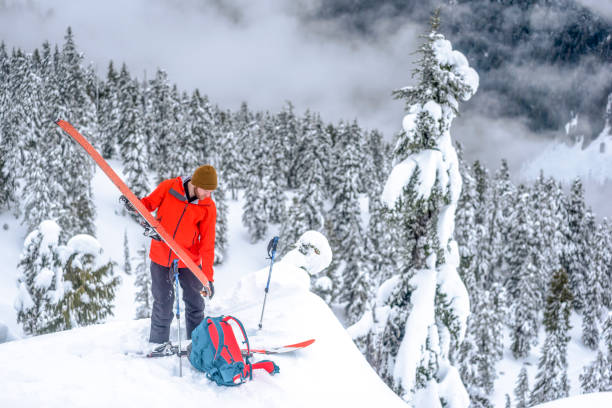 istock Backcountry skier prepares for descent in snowy forest 1329123616
